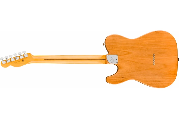 Fender American Professional Telecaster Rosewood Fingerboard Natural — 2