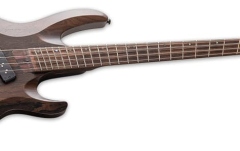 ESP LTD B-1004 Multi-Scale NS