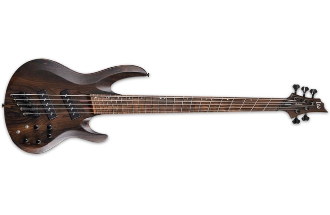 ESP LTD B-1005 Multi-Scale NS