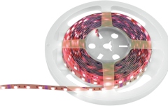  Eurolite LED Strip 300 5m 5050 RGB 12V