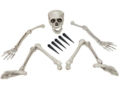 Halloween Skeleton, multipart