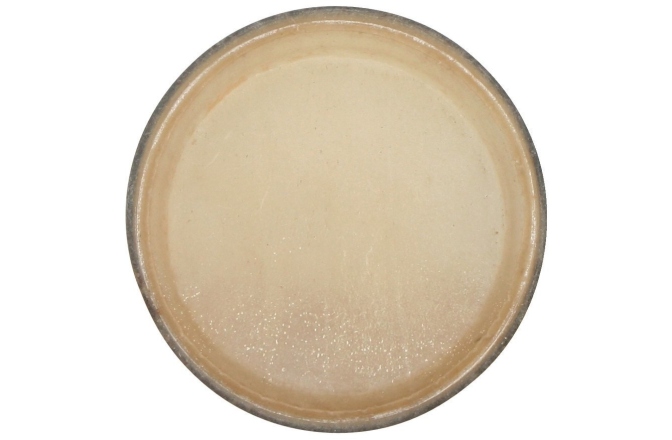 Fata bongo Club Salsa Bongo head 8,5"