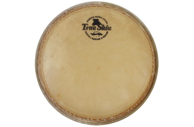 Față Bongos Meinl buffalo head - 9" for Woodcraft WBO500 + CS Collection