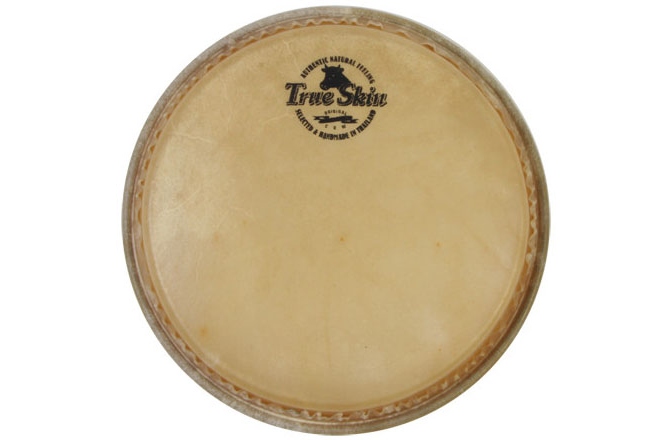 Față Bongos Meinl buffalo head - 9" for Woodcraft WBO500 + CS Collection