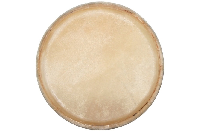 Fata conga Gewa Fata conga CLUB SALSA 10"