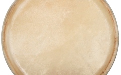 Fata conga  Gewa Fata conga CLUB SALSA 12,5"