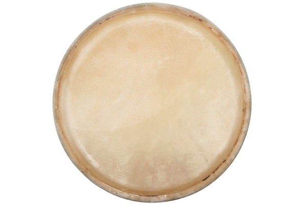 Fata conga CLUB SALSA 12,5" Fata conga CLUB SALSA 12,5"