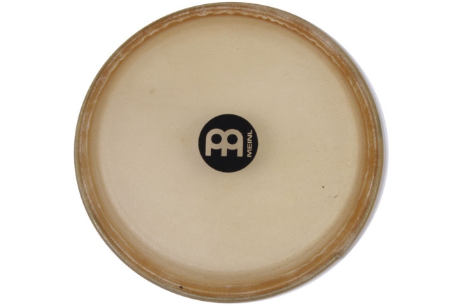 Față Conga Meinl conga head for Headliner models HC555/HC512/HFC11 - 11"