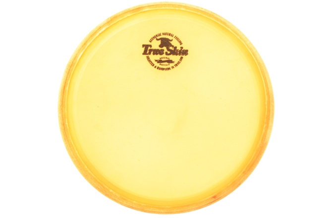 Față Conga Meinl head for Marathon model MEC1212 conga (old model) - 12 1/2"