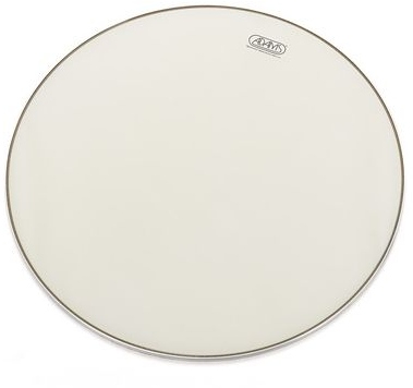 Adams Fell Renaissance Adams 32