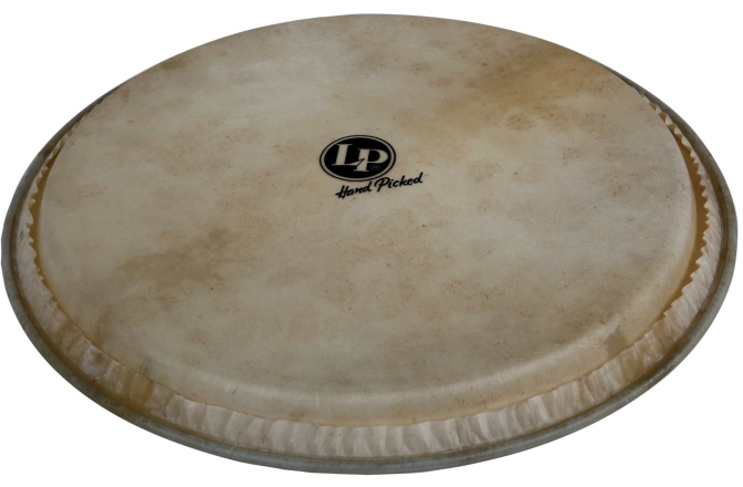 Fata djembe Latin Percussion  Hand Picked 12,5" fata capra