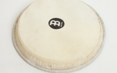 Față Djembe Meinl goat head for djembe FMDJ-M - 10"