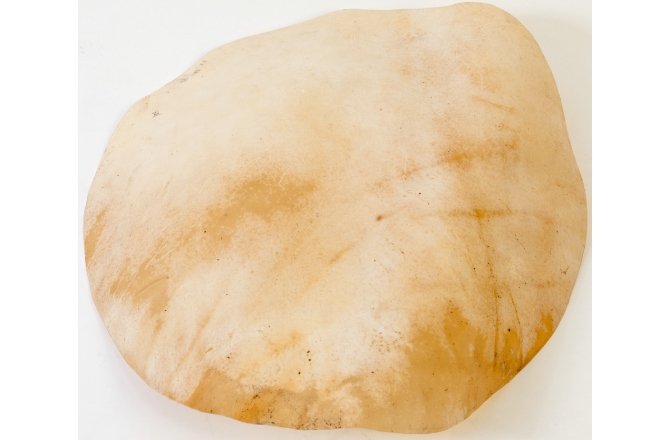 Față Djembe Meinl goat head - for djembefola