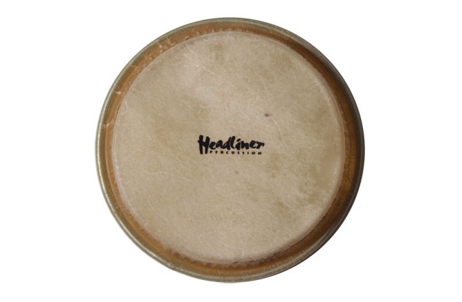 Față Fiberglass Meinl head for fiberglas HFDD2 dancing drum - 8"