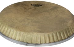 Față pentru conga  Remo  Skyndeep Symmetry Conga  Low Collar 12,25" M2-1225-S6-D1003