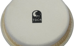Fata percutie conga Toca  Synergy Series Conga & Bongo 6"