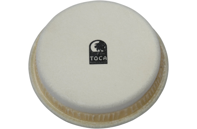 Fata percutie conga Toca  Synergy Series Conga & Bongo 6"