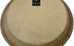 Fata percutie conga Toca  Traditional Series Conga & Bongo 7"