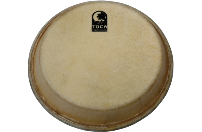 Fata percutie conga Toca  Traditional Series Conga & Bongo 7"