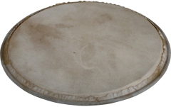 Față percuție Latin Percussion  Plenera 8"
