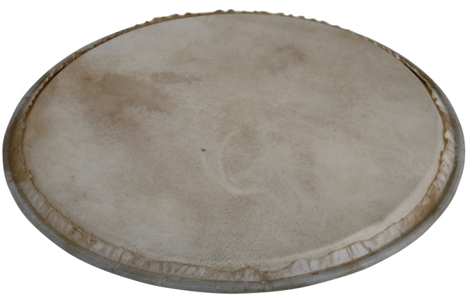 Față percuție Latin Percussion  Plenera 8"