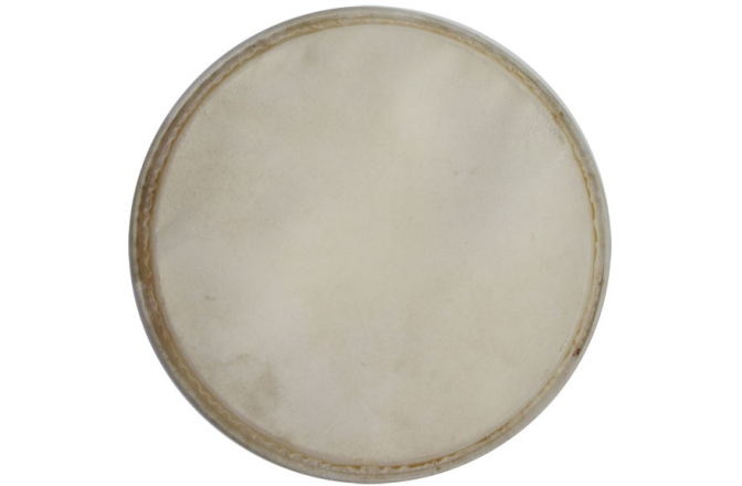 Față Plenera Meinl head for plenera set - 12"