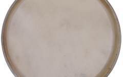 Față Plenera Meinl head for plenera set - 8"