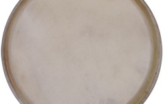 Față Plenera Meinl head for plenera set - 8"