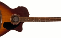 Fender Newporter Special, Pau Ferro Fingerboard, Black Pickguard, Honey Burst