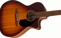 Fender Newporter Special, Pau Ferro Fingerboard, Black Pickguard, Honey Burst