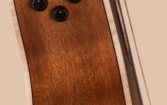 Fender Newporter Special, Pau Ferro Fingerboard, Black Pickguard, Honey Burst