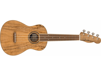 Zuma Exotic Concert WN Spalted Maple