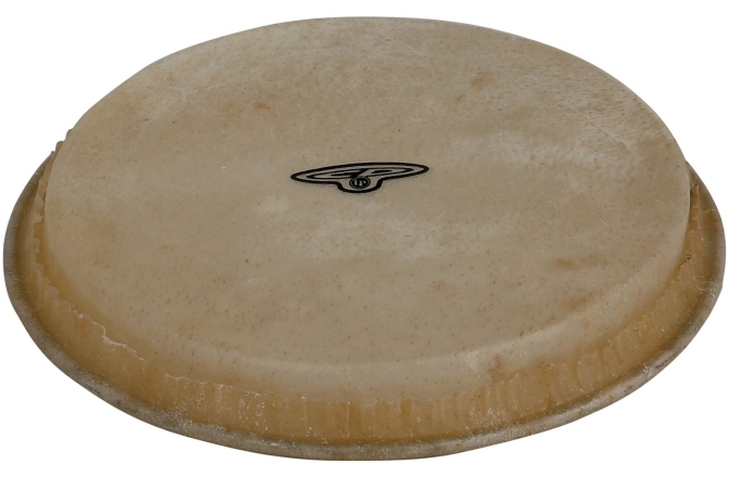 Fete de bongo Latin Percussion CP Traditional 7 1/4" Hembra