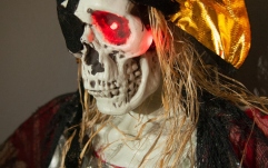 Figura animată Europalms Halloween Pirate, 170cm