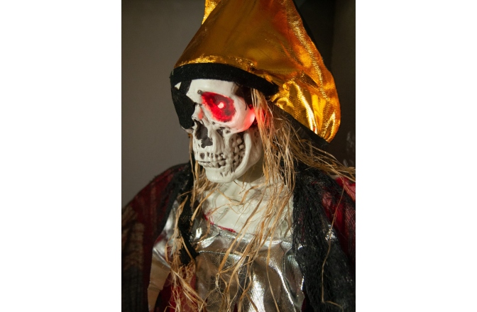 Figura animată Europalms Halloween Pirate, 170cm