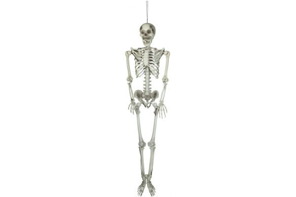 Halloween Skeleton, 150 cm