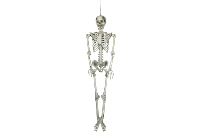 Figurină schelet Europalms Halloween Skeleton, 150 cm