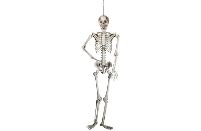 Figurină schelet Europalms Halloween Skeleton, 150 cm
