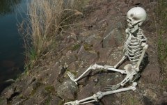 Figurină schelet Europalms Halloween Skeleton, 150 cm