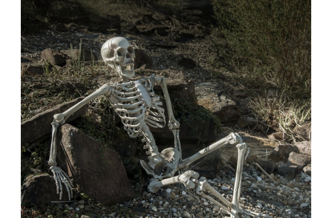 Figurină schelet Europalms Halloween Skeleton, 150 cm