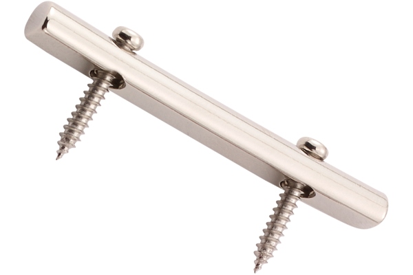 Floyd Rose  FRSRNP - Original String Retainer with Screws - Nickel