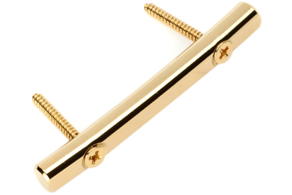 Floyd Rose  FRSRGP - Original String Retainer with Screws - Gold