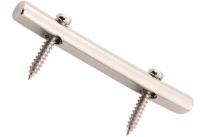 Floyd Rose  FRSRNP - Original String Retainer with Screws - Nickel