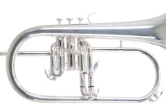Filigorn Roy Benson Bb FH-302S 