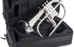 Filigorn Roy Benson Bb FH-302S 