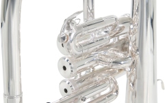 Filigorn Roy Benson Bb FH-302S 