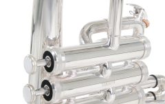 Filigorn Roy Benson Bb FH-302S 