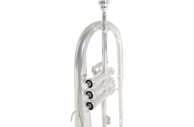 Filigorn Roy Benson Bb FH-302S 