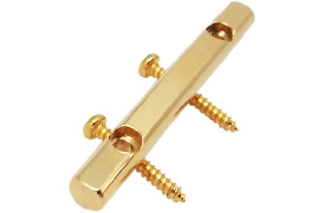 Fixator/retainer corzi Floyd Rose By FR3SRG - String Retainer with Screws - Gold
