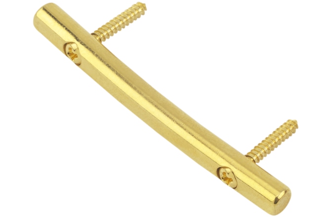 Fixator/retainer corzi Floyd Rose  FR7SRSGP - 7-String Retainer - Satin Gold